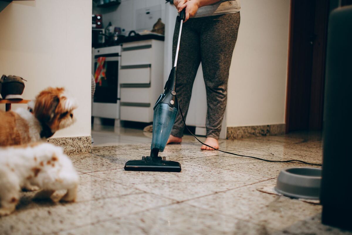 Personne nettoyant un sol intérieur avec un chien à proximité