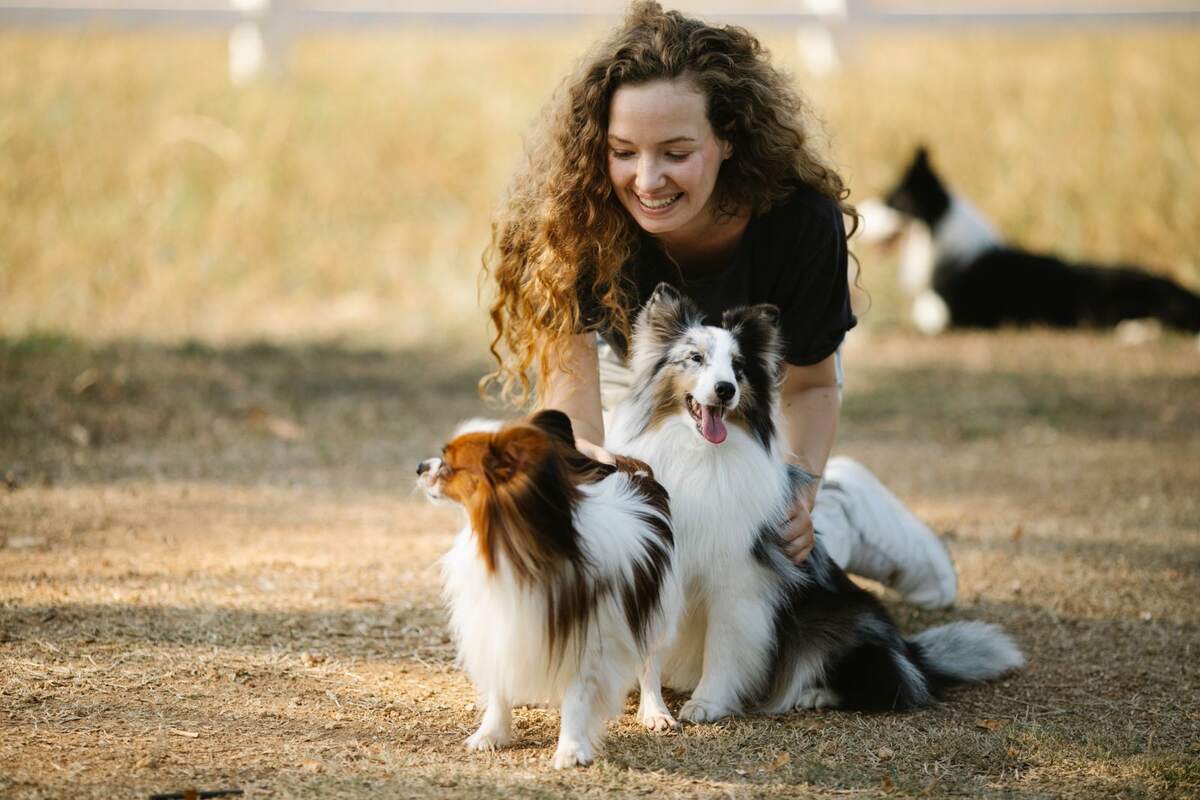 Personne jouant avec plusieurs chiens dans un espace extérieur verdoyant